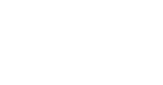 Wave Nest Surfcamp