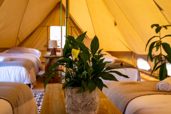 Shared tent - from 392€ for 7 nights - Image 4